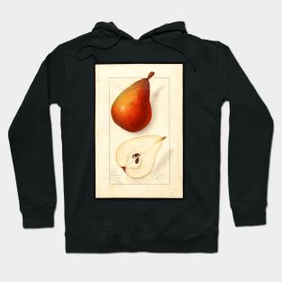 Clairgeau Pears Hoodie